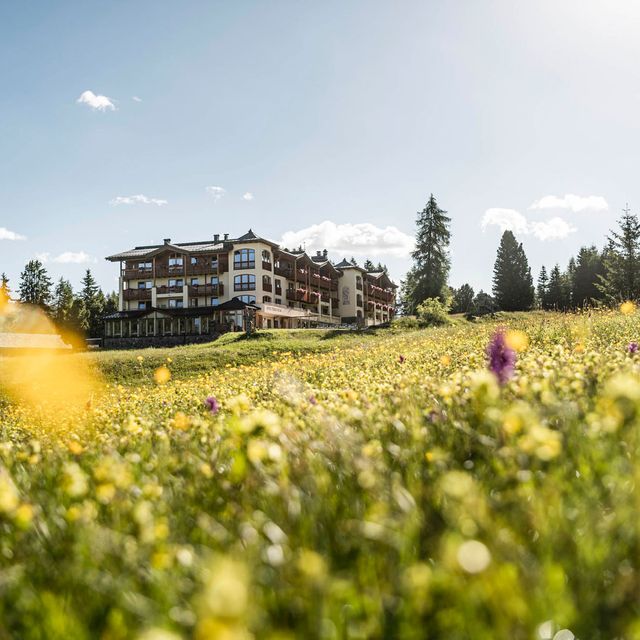 Hotel Steger-Dellai außen
